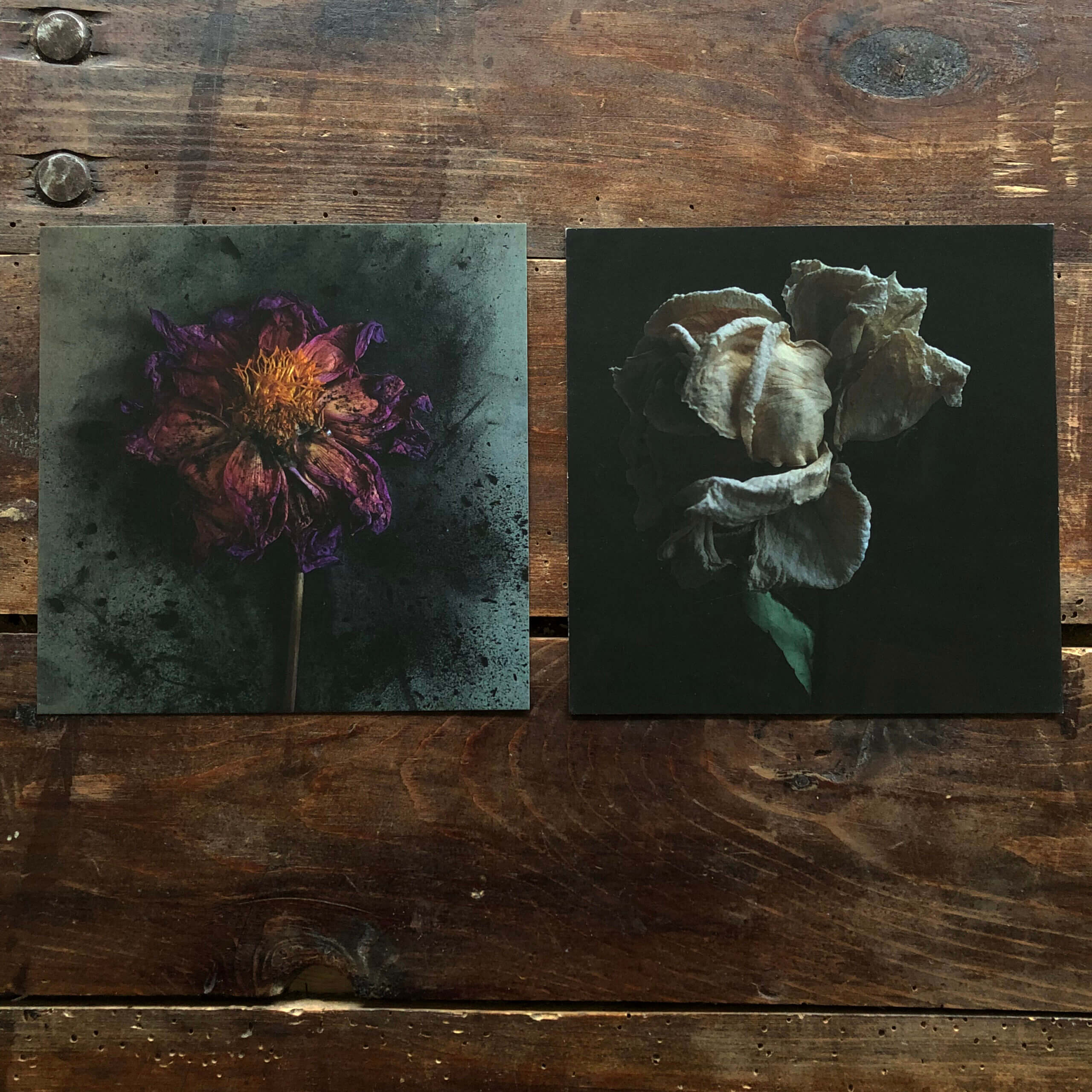 loufuhr-kunst-postkort-opus03